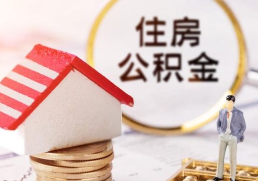 永城住房公积金账户余额如何提取（如何提取住房公积金个人账户余额）